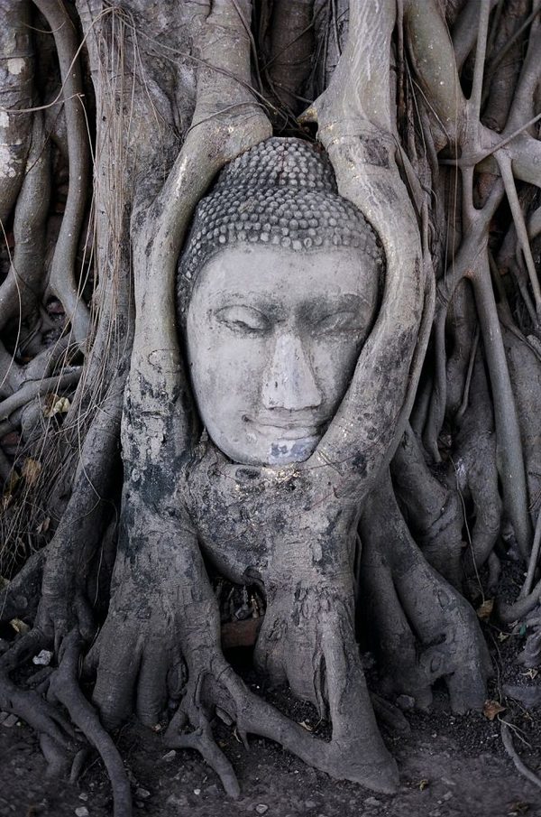 Ayutthaya