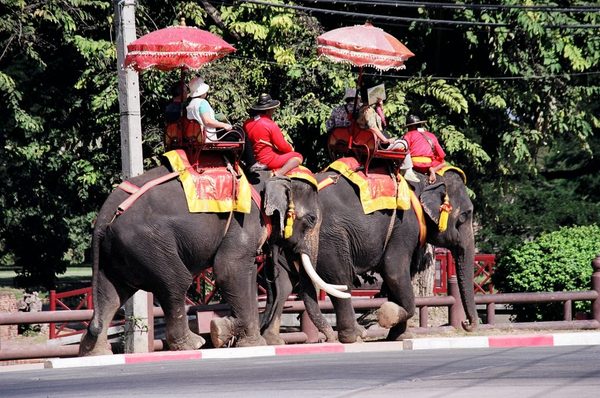 Ayutthaya